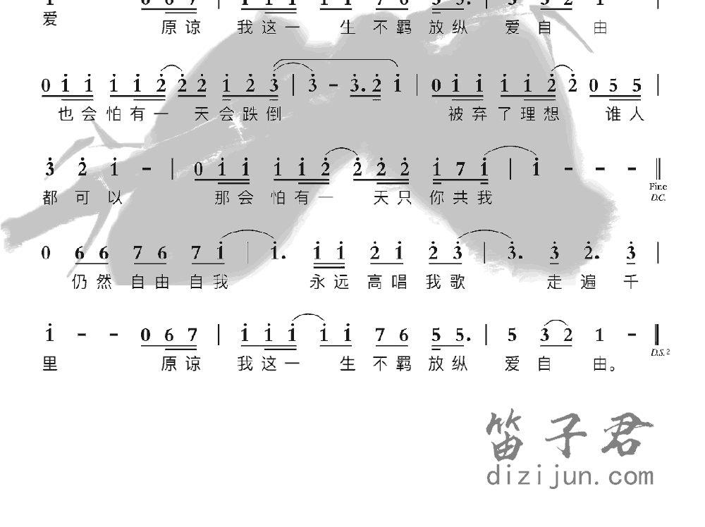 海阔天空笛子音乐2