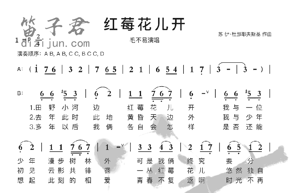 红莓花儿开竹笛乐曲