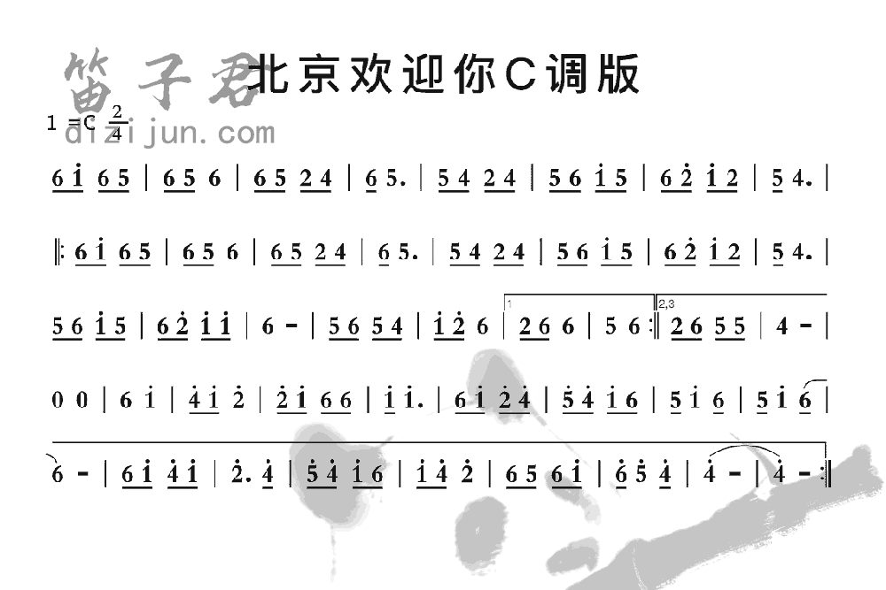 北京欢迎你C调版笛子音乐