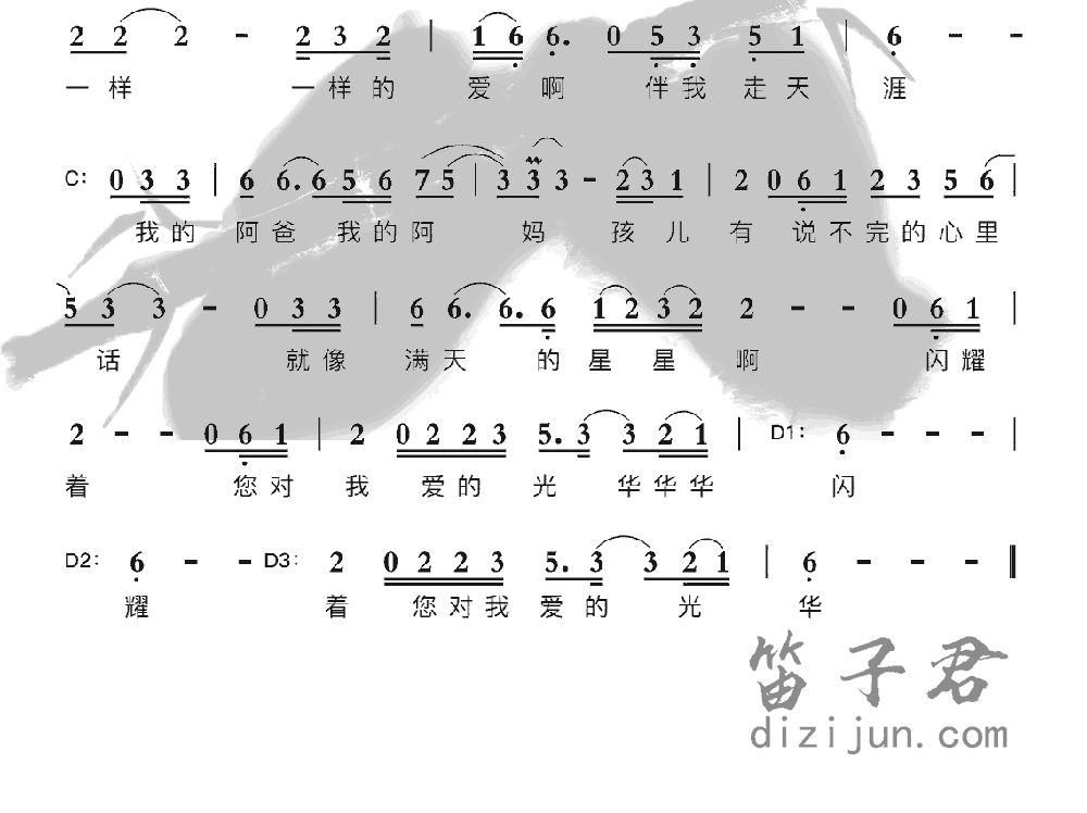 阿爸阿妈笛子音乐2