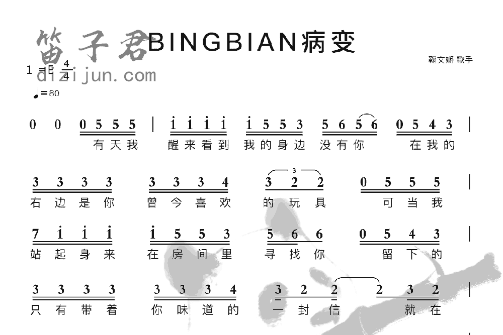 BINGBIAN病变笛子音乐