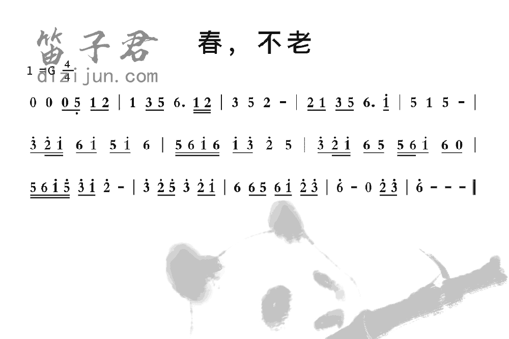 春，不老笛子音乐