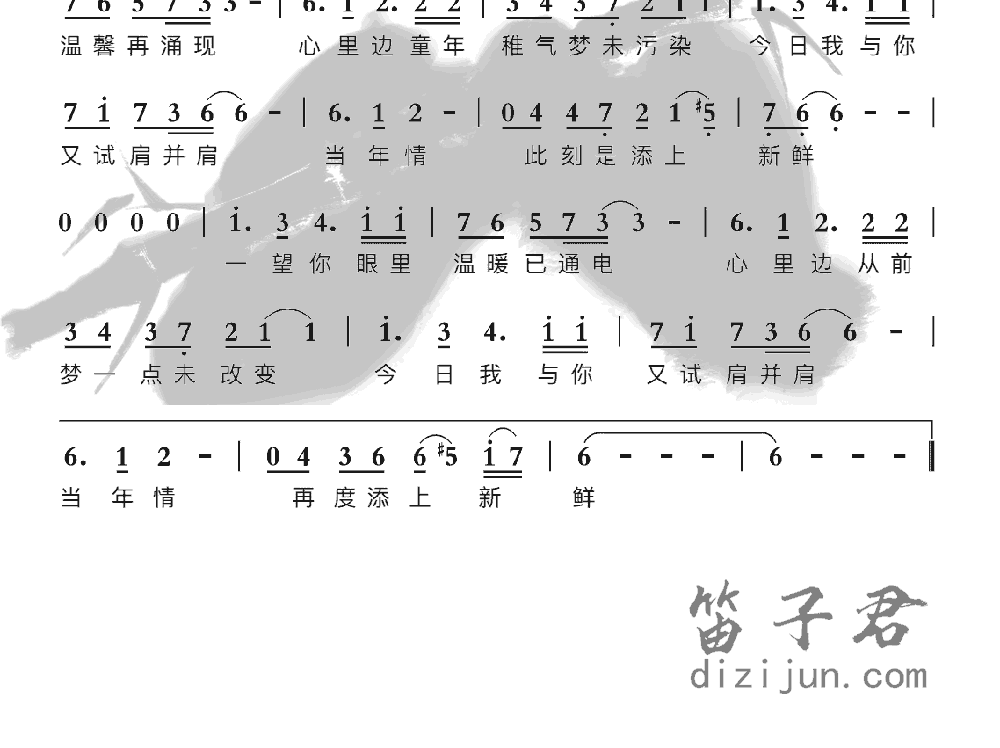 当年情竹笛乐曲2