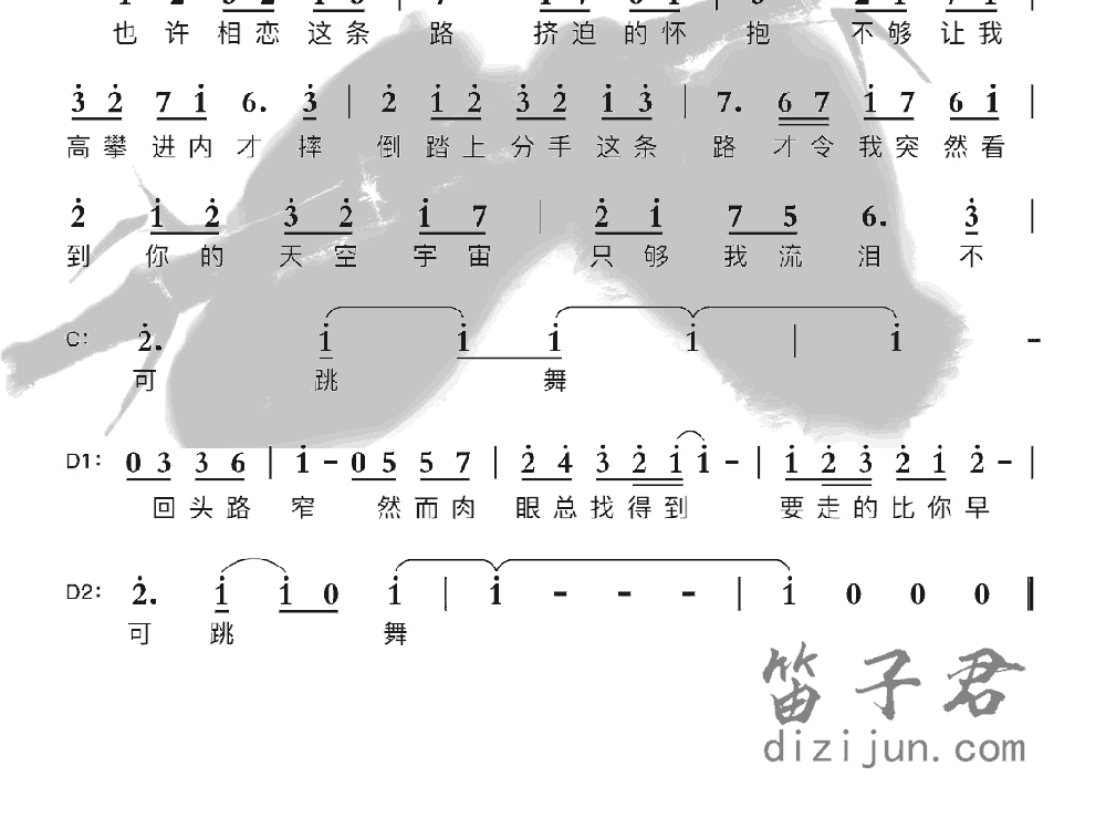 非走不可竹笛乐曲2