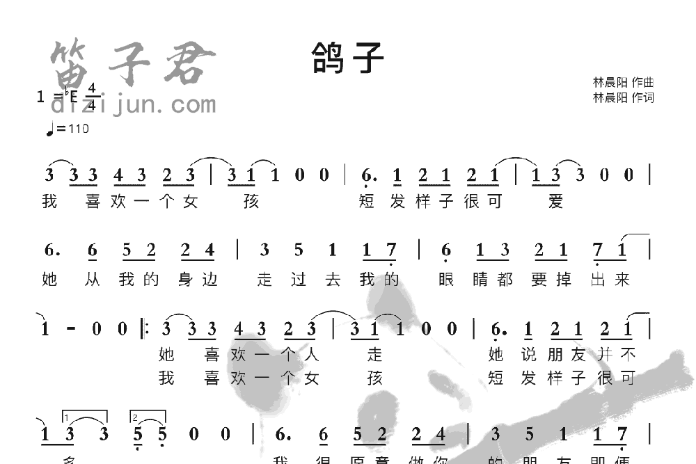 鸽子笛子音乐