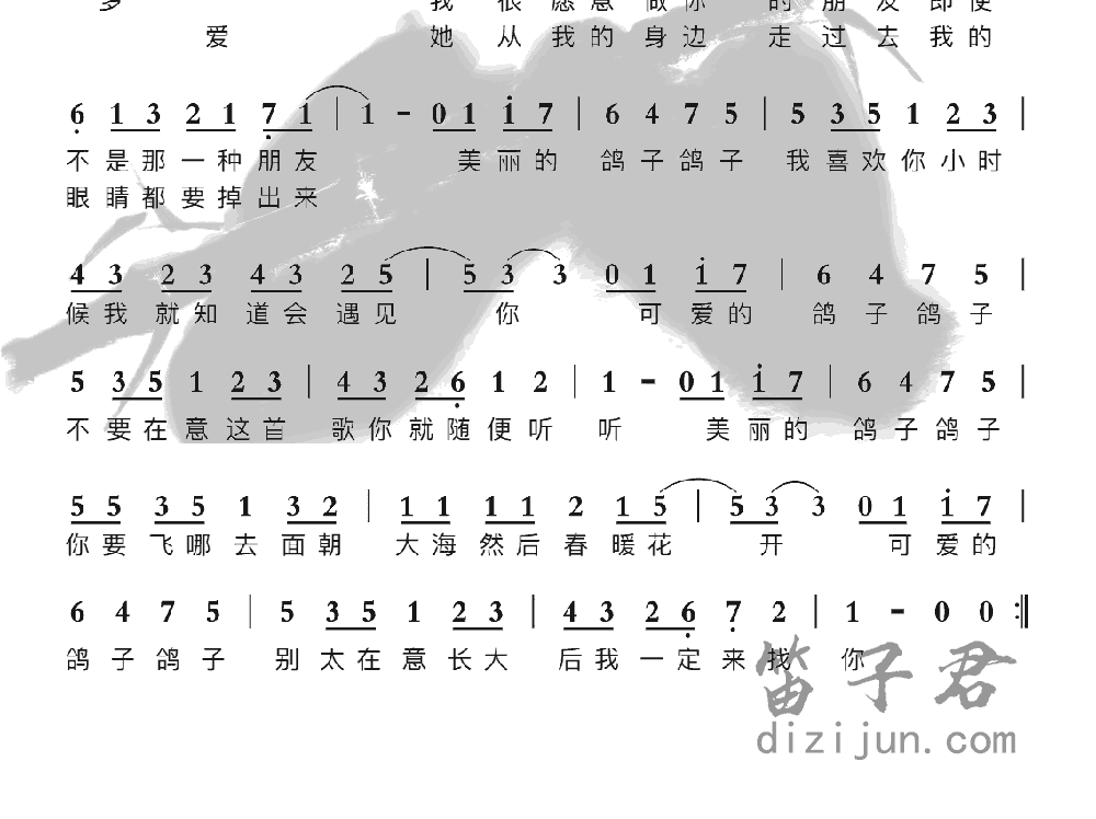 鸽子笛子音乐2