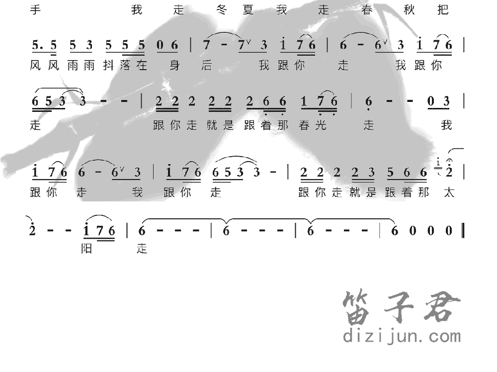 跟你走笛子音乐2