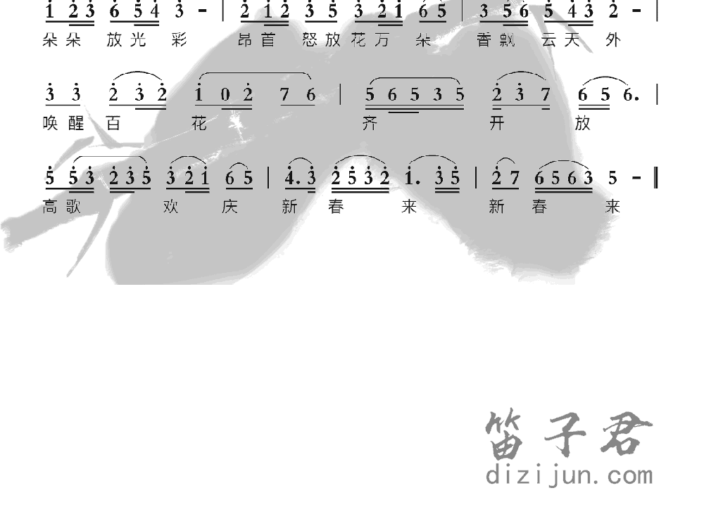 红梅赞笛子音乐2