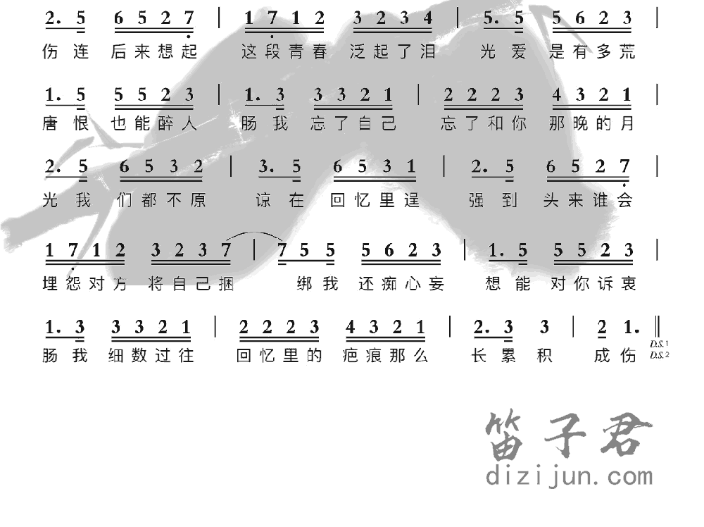 回忆那么伤笛子音乐2