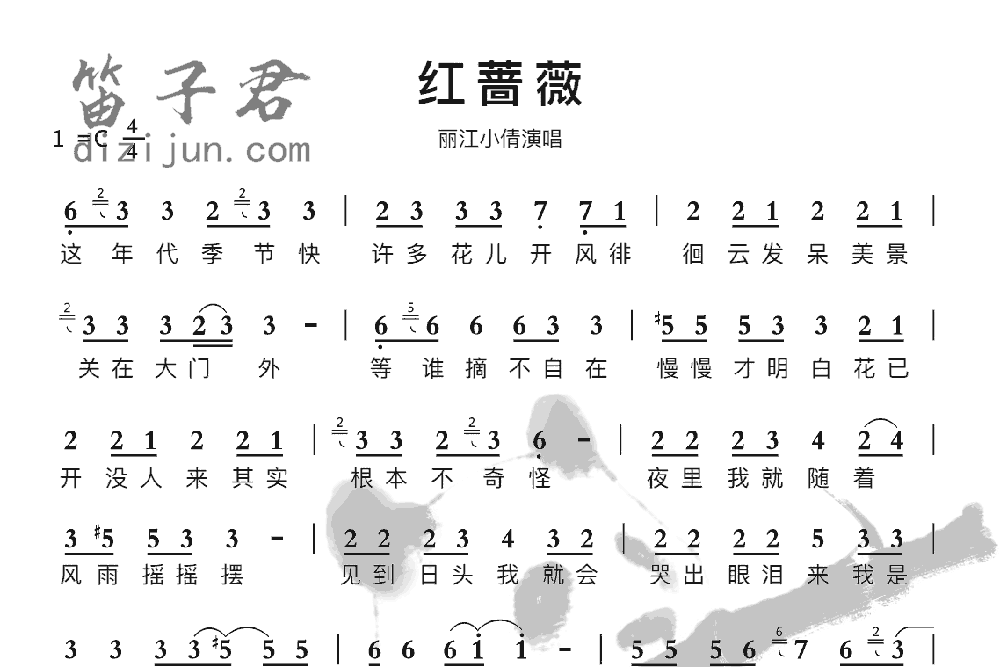 红蔷薇竹笛乐曲