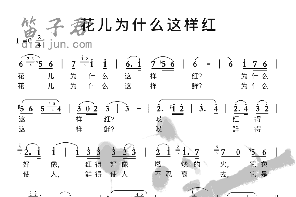 花儿为什么这样红笛子音乐