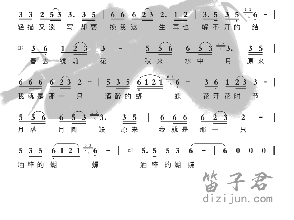 酒醉的蝴蝶竹笛乐曲2