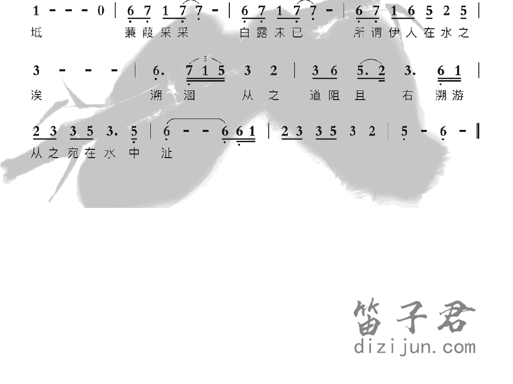 兼笛子音乐2