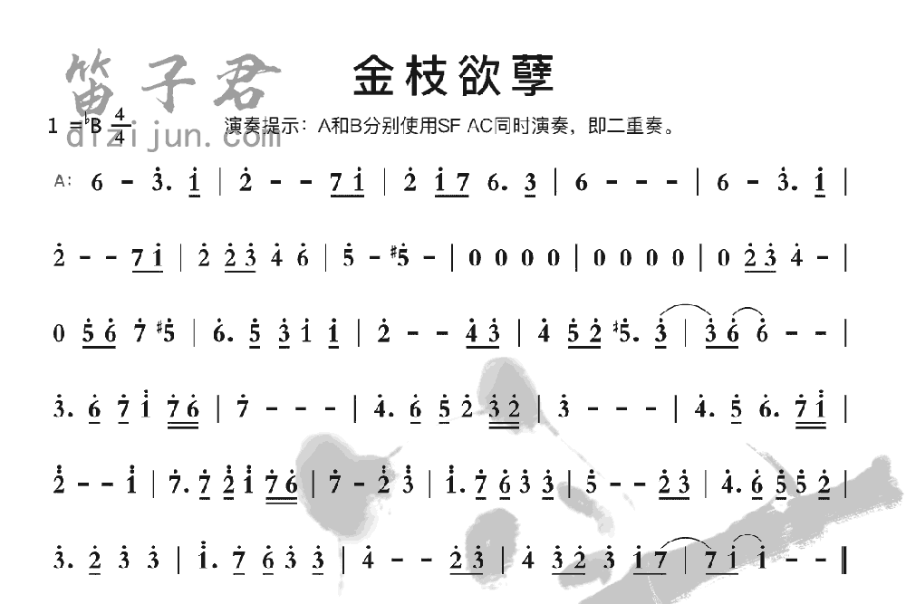 金枝欲笛子音乐