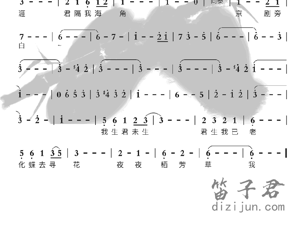 君生吾未生竹笛乐曲2