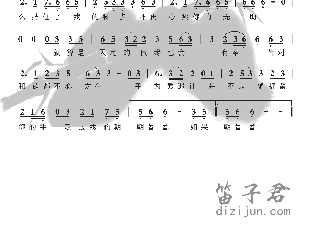 金玉良缘竹笛乐曲2