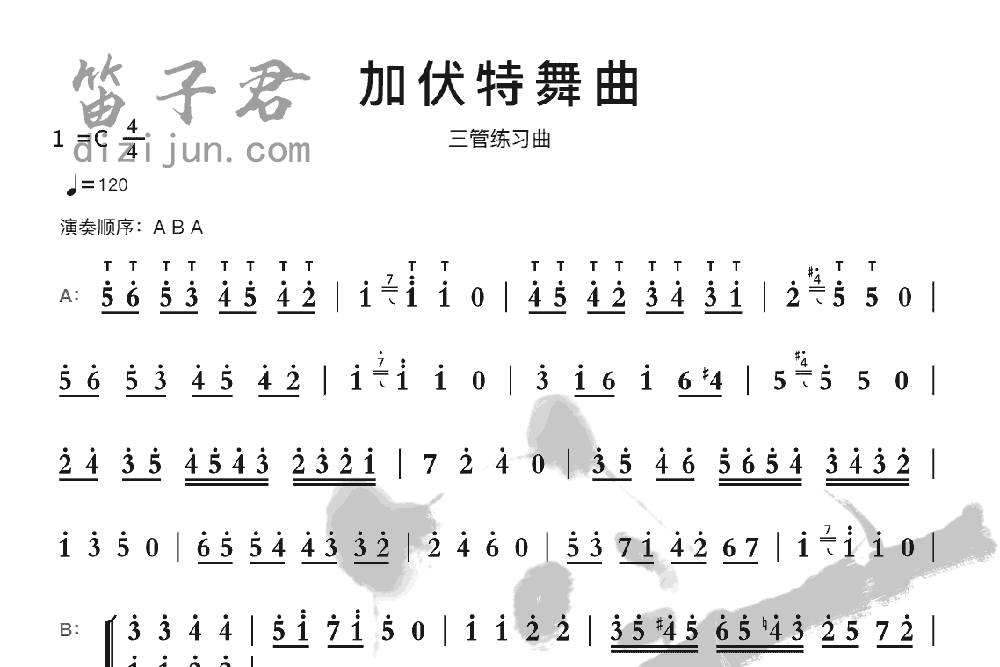 加伏特舞曲竹笛乐曲