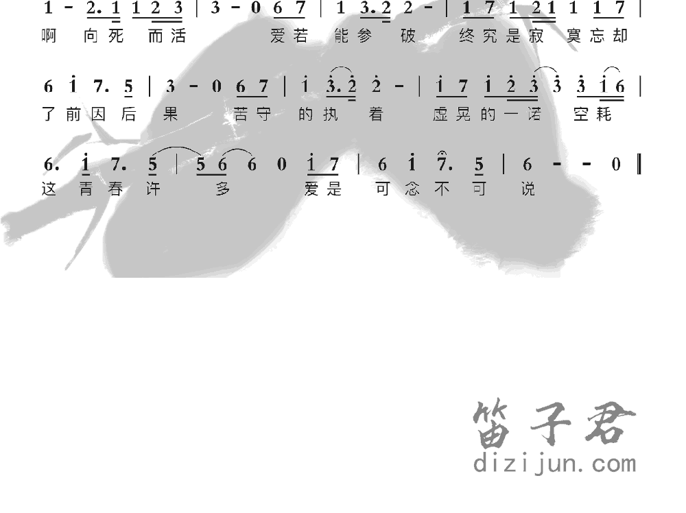 可念不可说竹笛乐曲2