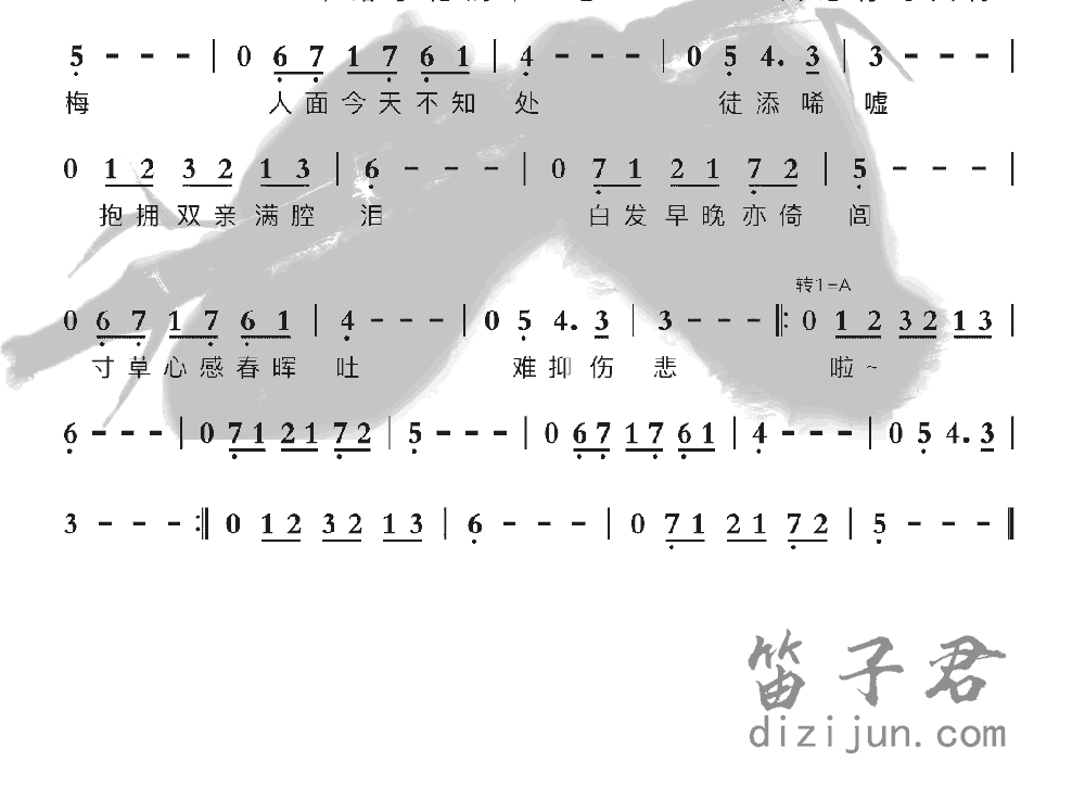 客从何处来竹笛乐曲2