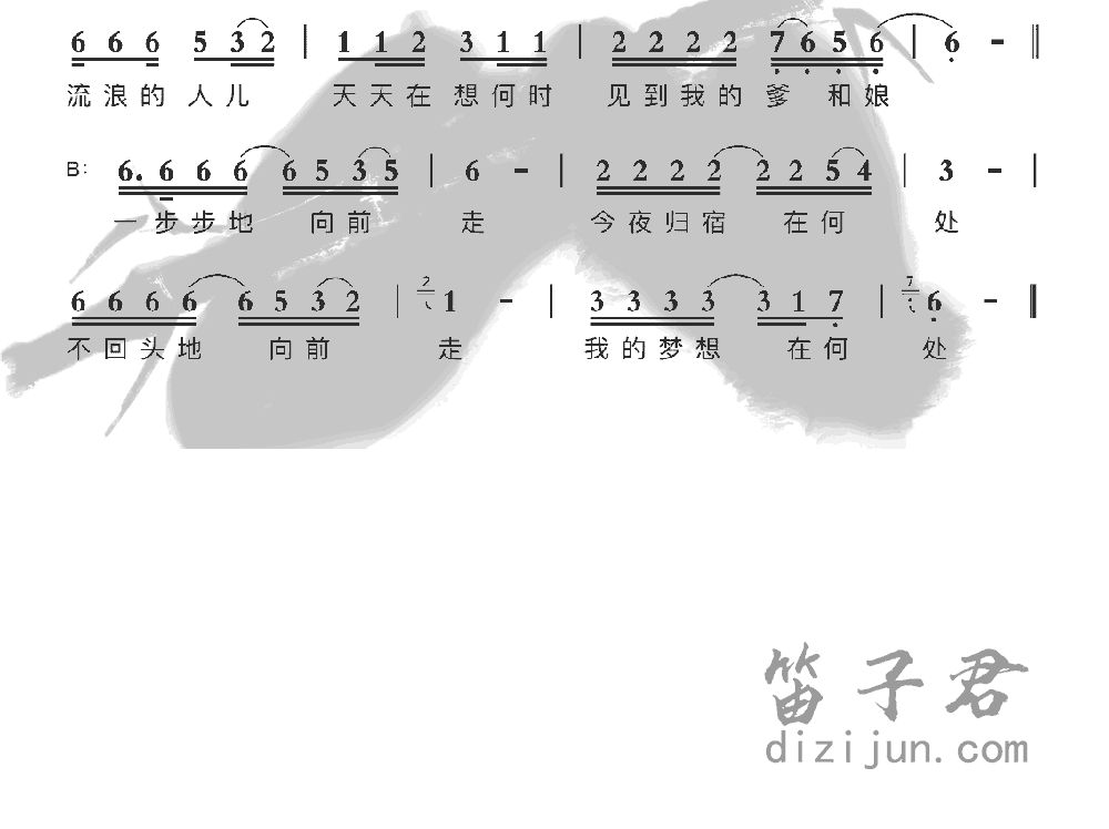 流浪兄弟竹笛乐曲2