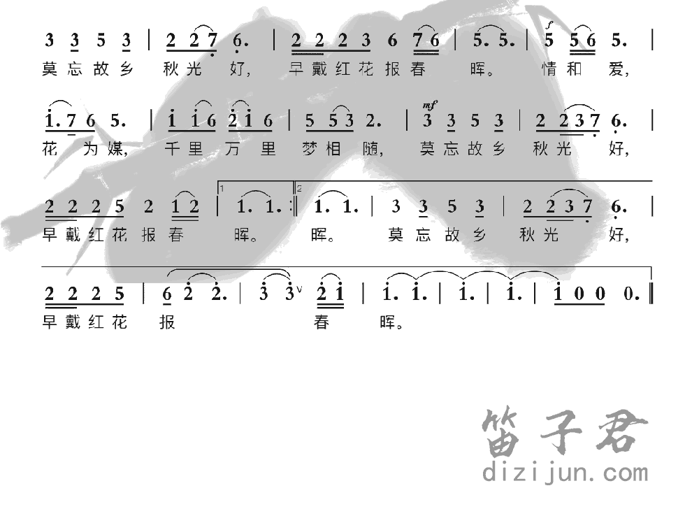 芦花笛子音乐2