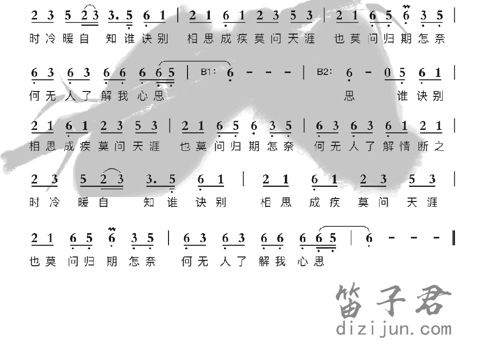 莫问归期笛子音乐2