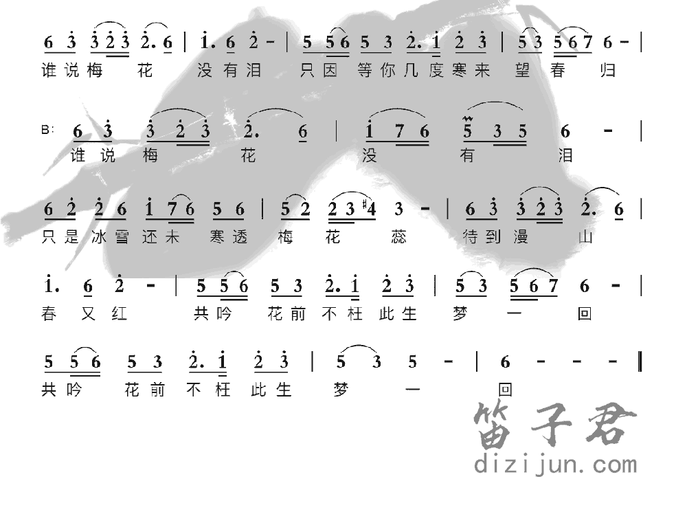 梅花泪笛子音乐2