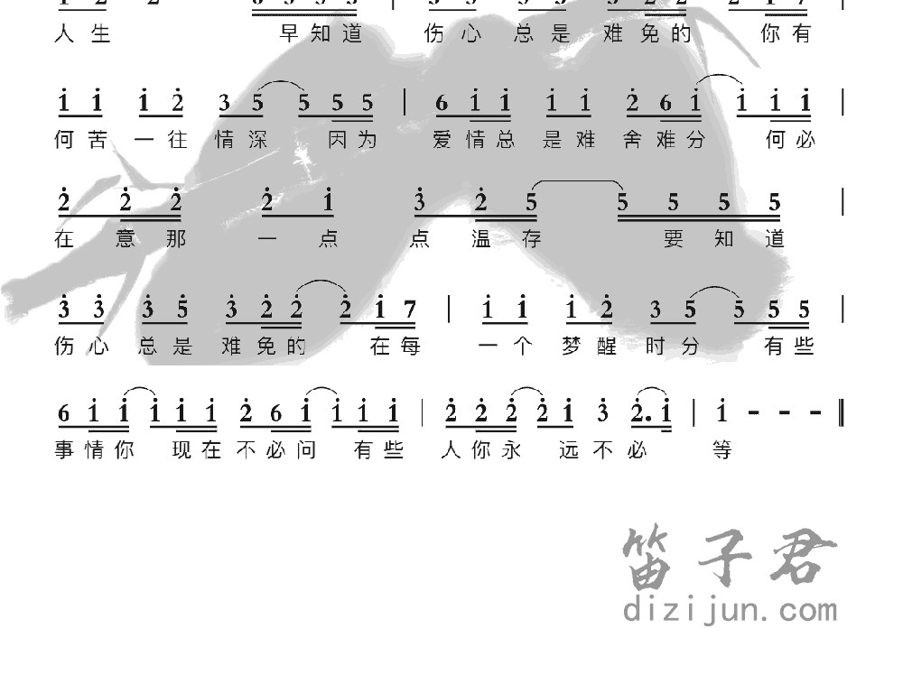 梦醒时分竹笛乐曲2