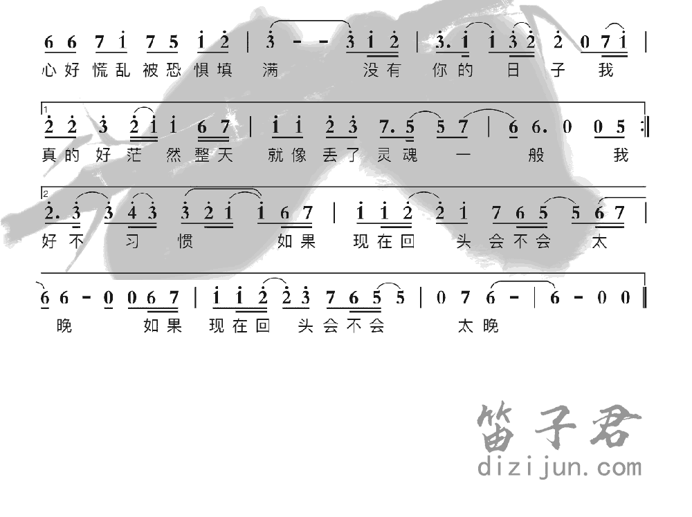 没有你的陪伴真的好孤单笛子音乐2