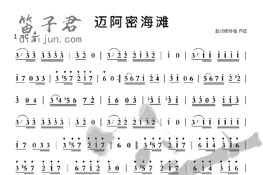 迈阿密海滩笛子音乐