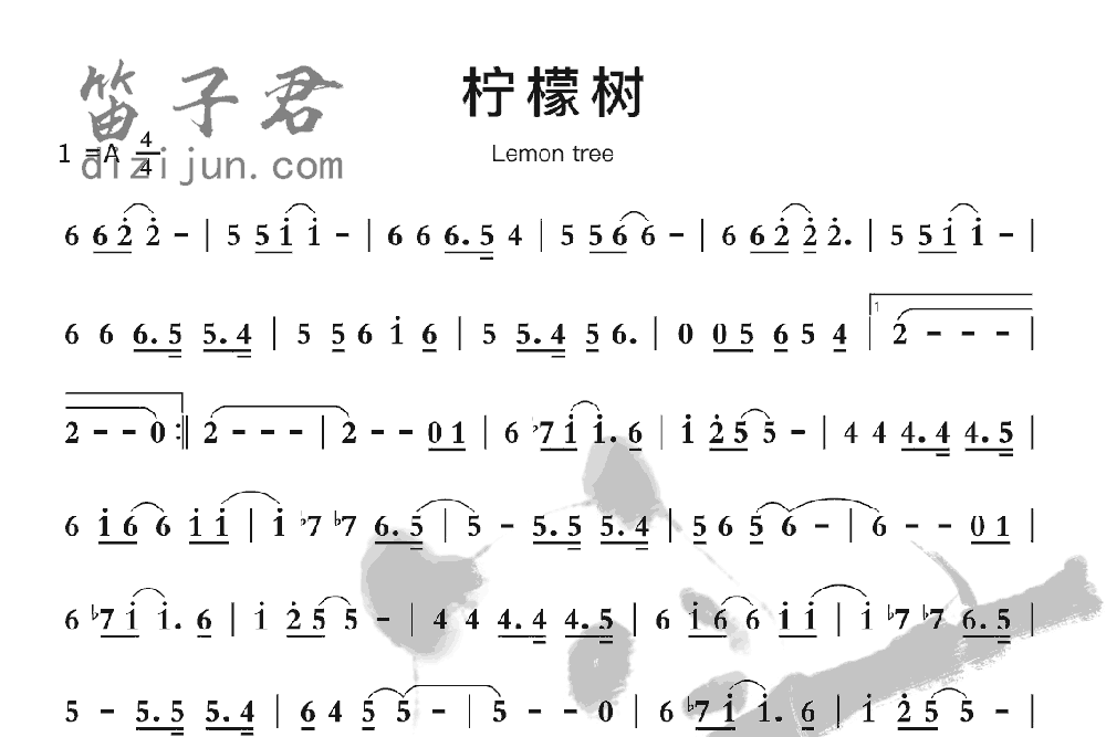 柠檬树竹笛乐曲