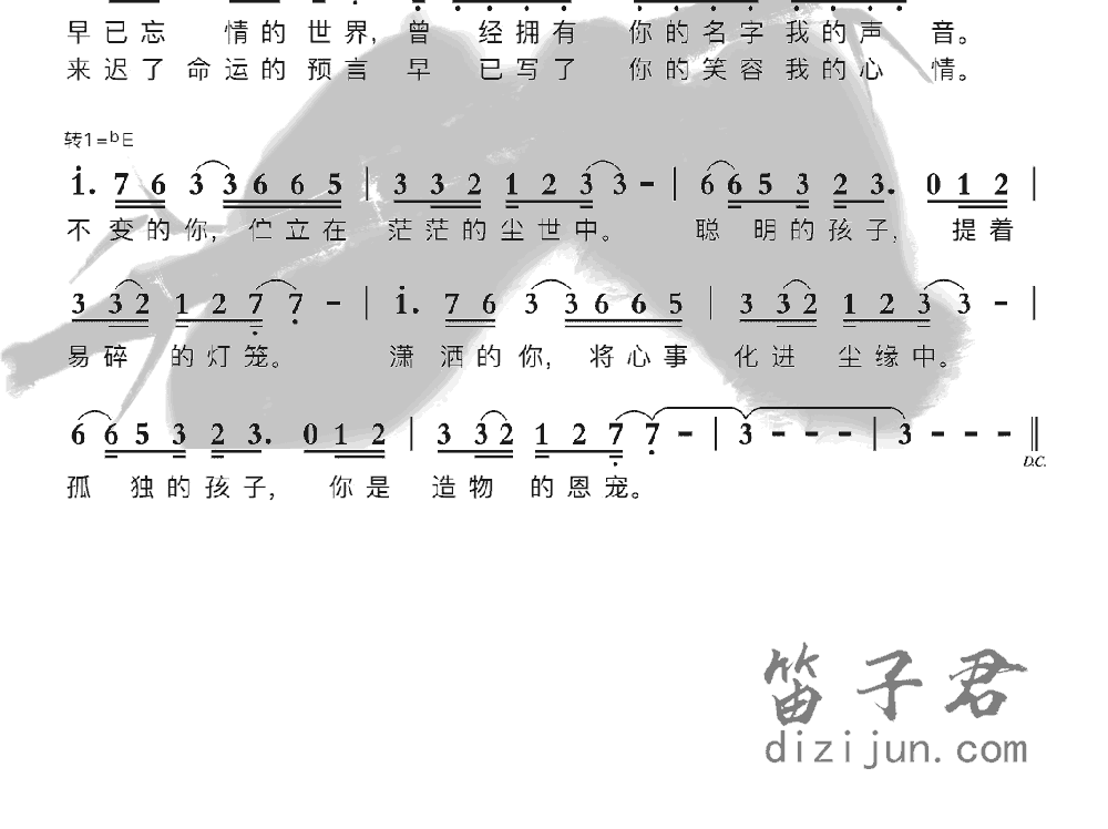 你的样子笛子音乐2