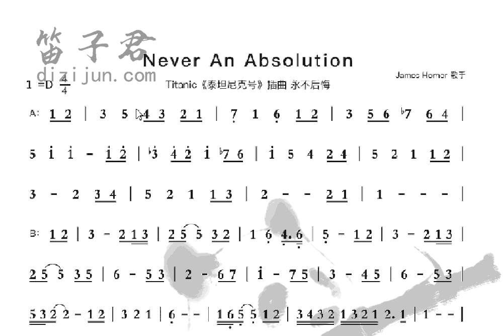 NeverAnAbsolution竹笛乐曲