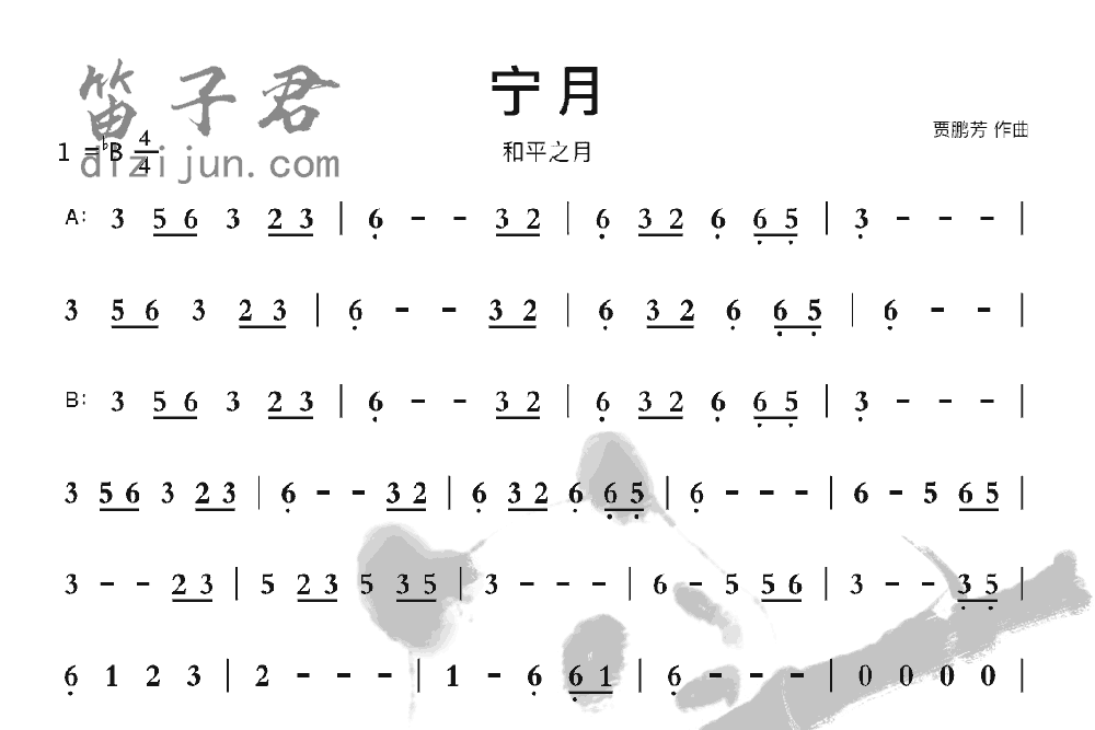 宁月笛子音乐