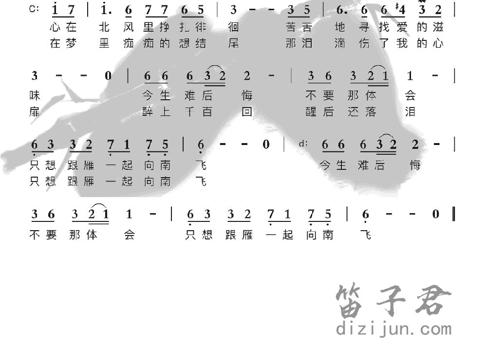 南飞雁竹笛乐曲2