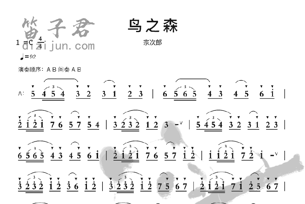 鸟之森笛子音乐