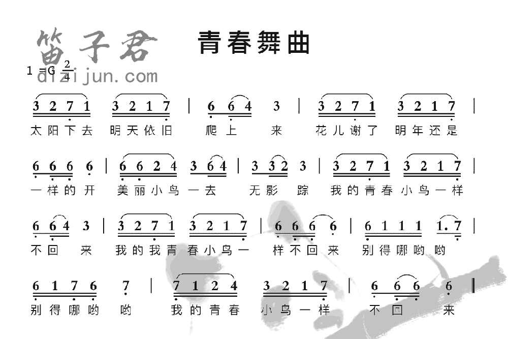 青春舞曲笛子音乐