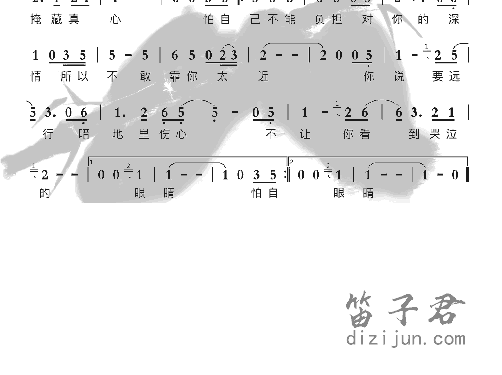 其实你不懂我的心竹笛乐曲2