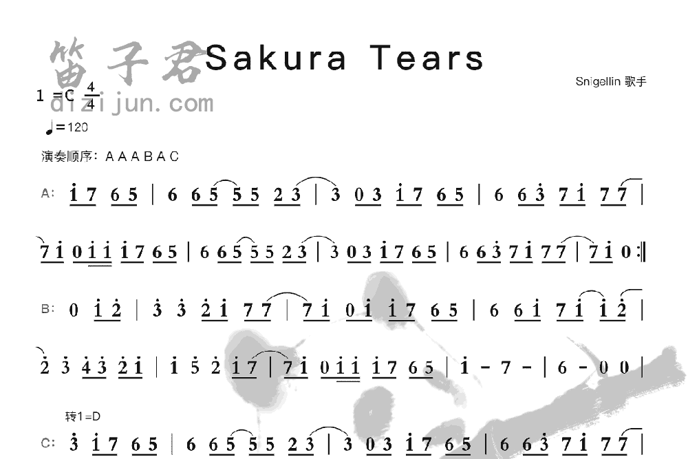 Sakura Tears竹笛乐曲