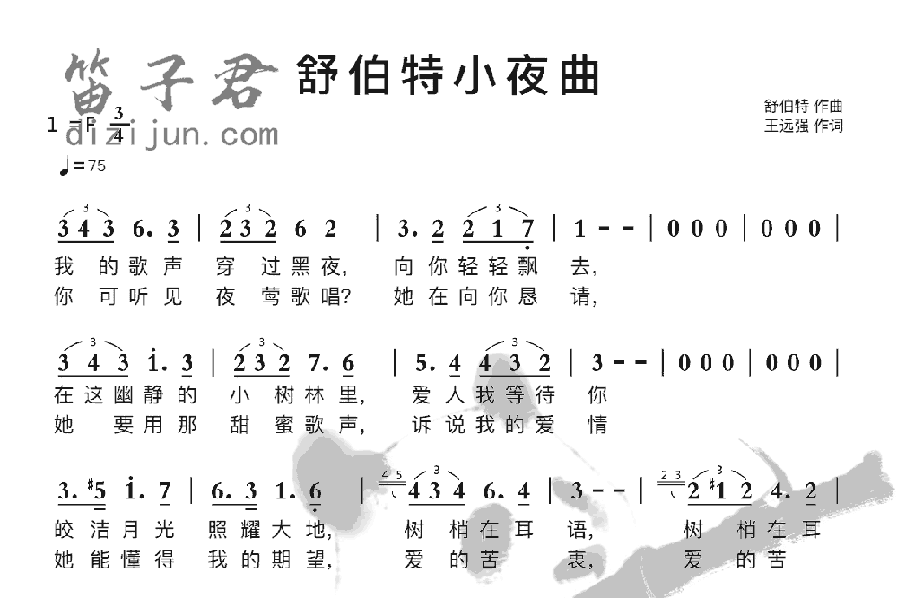 舒伯特小夜曲笛子音乐