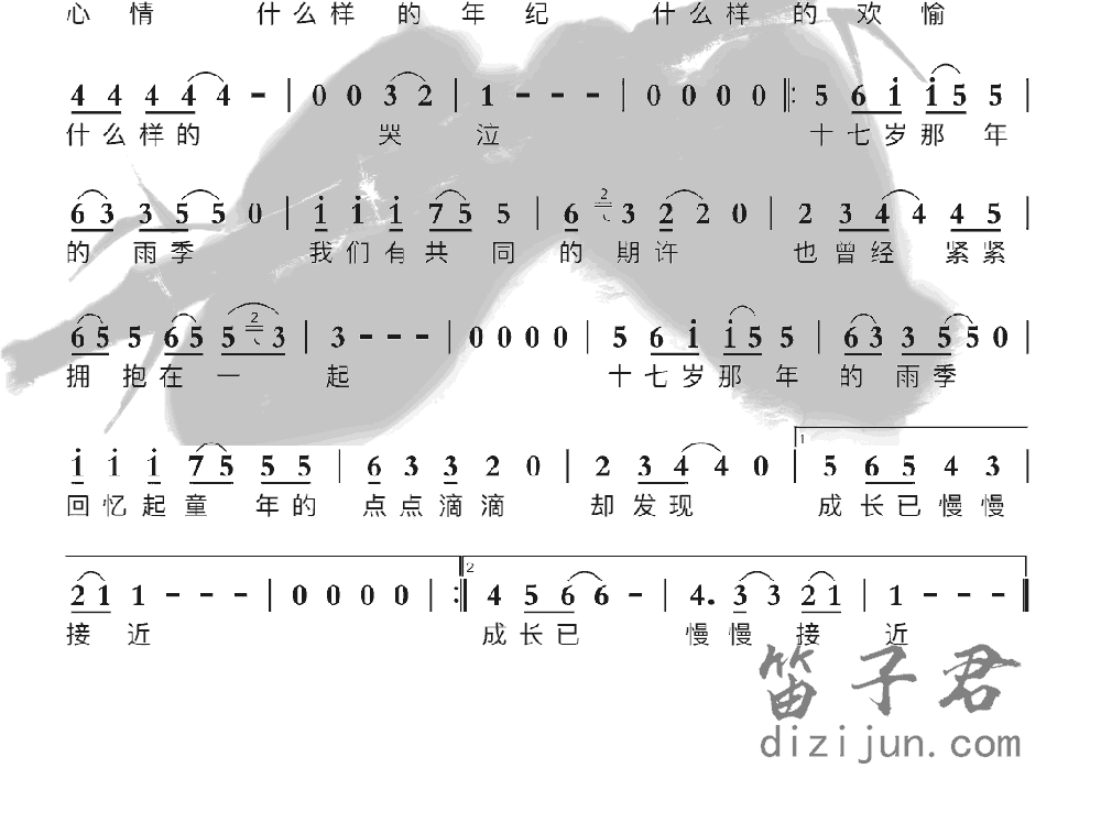 十七岁的雨季竹笛乐曲2