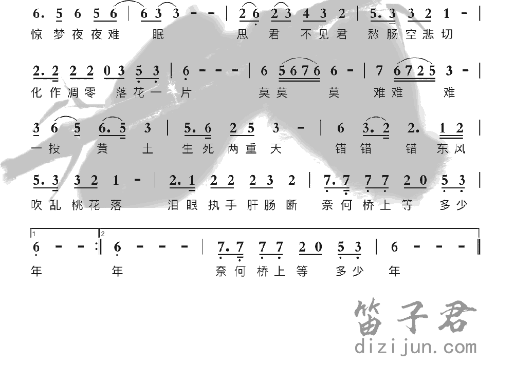 沈园情梦竹笛乐曲2