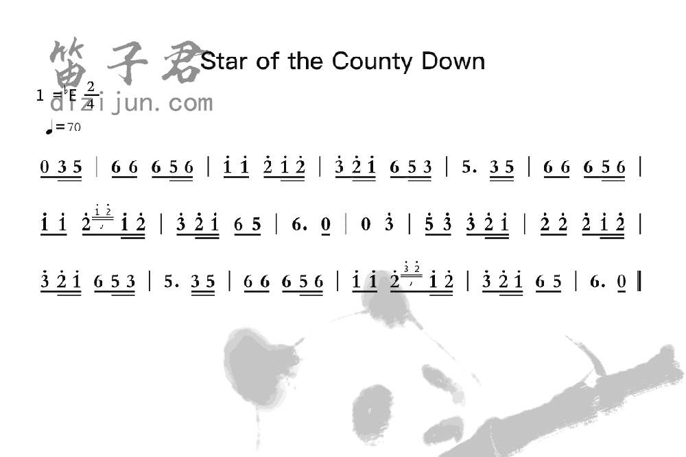 Star of the County Down笛子音乐