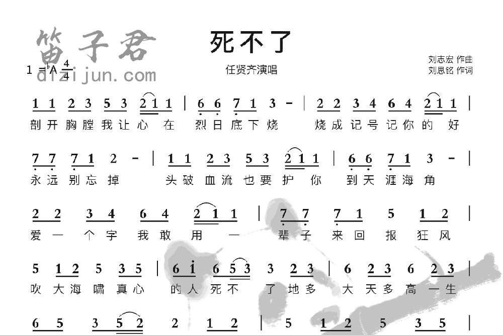 死不了笛子音乐