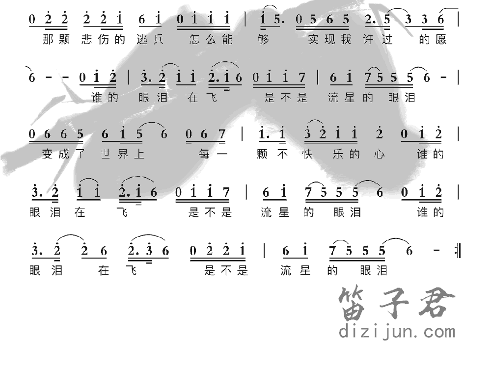 谁的眼泪在飞竹笛乐曲2