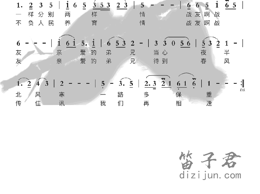 驼铃笛子音乐2