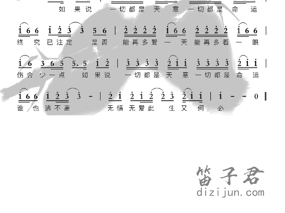 天意笛子音乐2