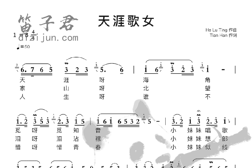 天涯歌女竹笛乐曲