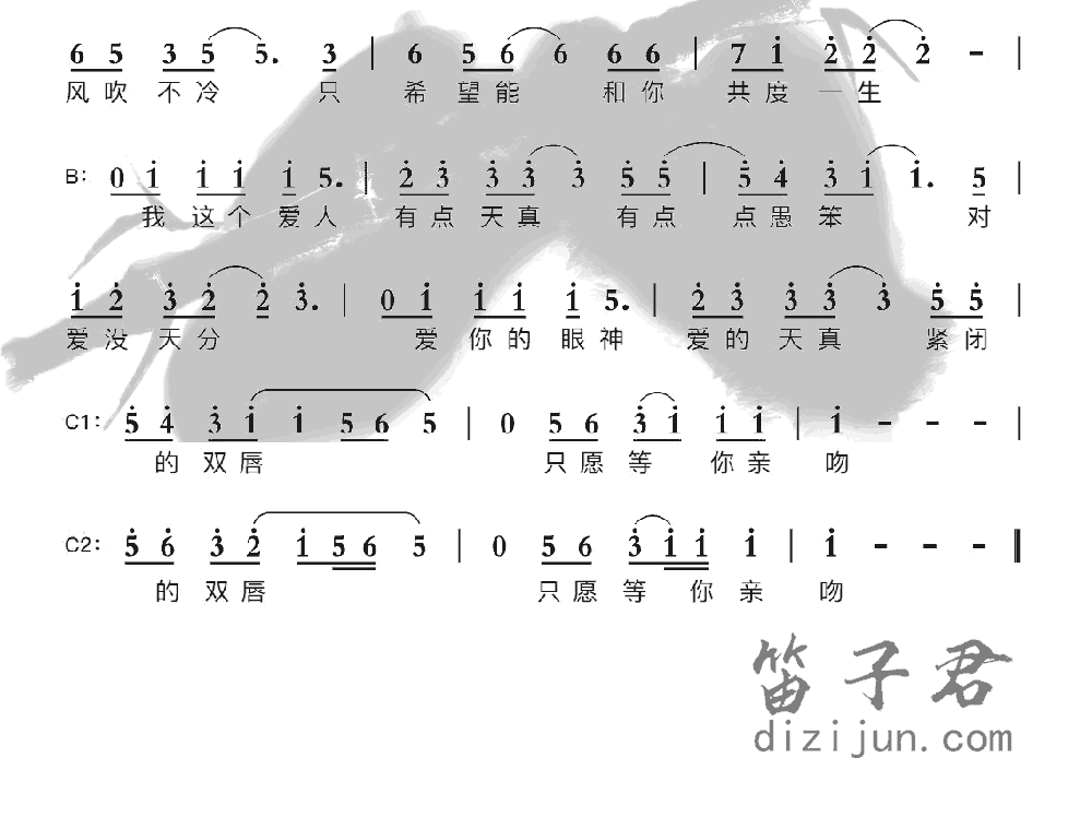 天真笛子音乐2