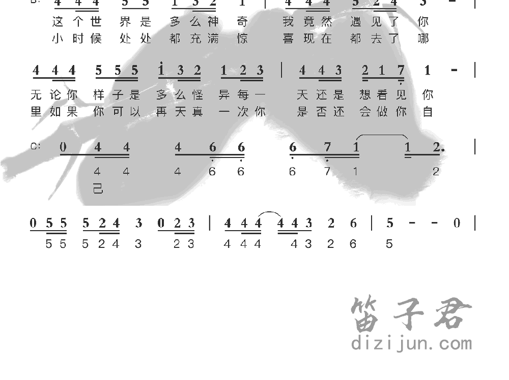 无论你多怪异我还是会喜欢你竹笛乐曲2